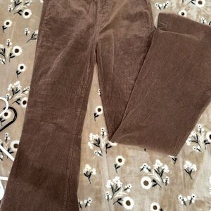 Cello Brown Boot Cut Pants